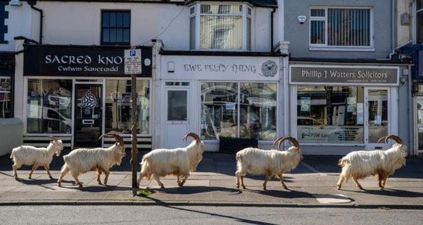 Conwy Pen Cefn Farm Holiday Abergele Exterior foto