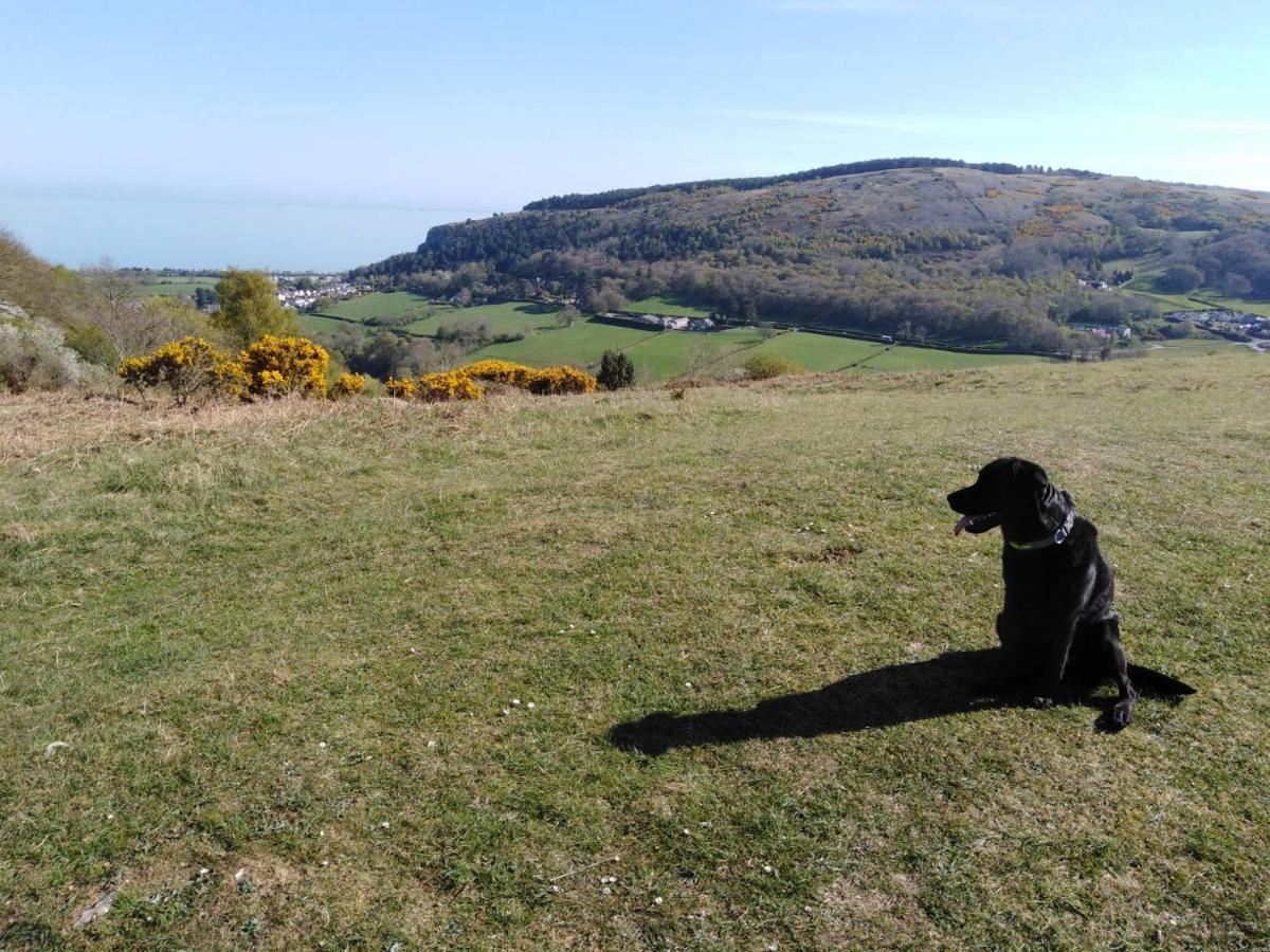 Conwy Pen Cefn Farm Holiday Abergele Exterior foto